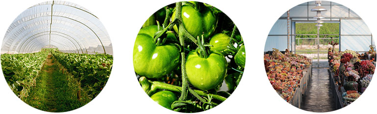 Az üvegházak távoli hőmérséklet-felügyeleti rendszerének leírása