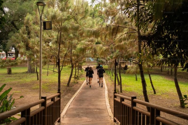 People Counting in Parks & Trails: Understanding Outdoor Visitor Flow